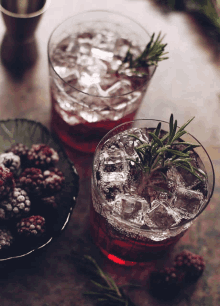 Raspberry Cocktail Raspberry GIF