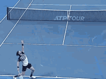 Nikoloz Basilashvili Let Cord GIF - Nikoloz Basilashvili Let Cord Tennis GIFs