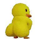 a yellow stuffed animal is standing on its hind legs and looking at the camera .