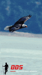 an advertisement for the bbs billiard ball school shows an eagle flying over the water