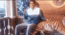 Tiger Animal GIF - Tiger Animal Exotic Animal GIFs