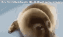 Forced To Play Halo GIF - Forced To Play Halo GIFs