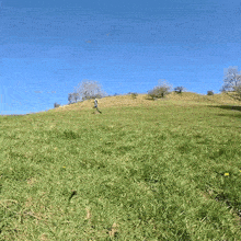 a man is walking up a grassy hill