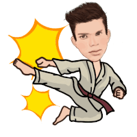 Karate Animated Gif GIFs | Tenor