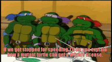 tmnt raphael if we get stopped for speeding ill let you explain how a mutant turtle can get a drivers license