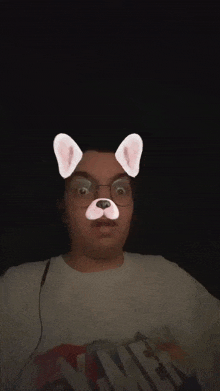 a man wearing bunny ears and a dog face mask .
