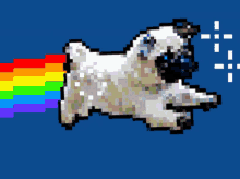 Pug Nyan Cat GIF - Pug Nyan Cat Rainbow GIFs