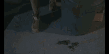 Billy Madison Dog Poop GIF - Billy Madison Dog Poop GIFs