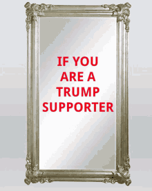 Trump Supporter GIF - Trump Supporter GIFs