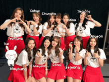 a group of girls posing for a picture with names such as chaeyeon somi and sejeong on the bottom