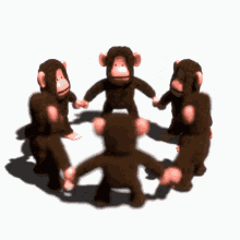 Spinning Monkey Monkey Spin GIF