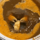 a crab is being cooked in a pot of sauce