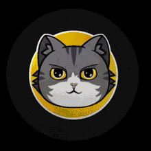 Catcoin Cats GIF