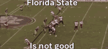 Fsu Lobro GIF - Fsu Lobro Florida State Bad GIFs