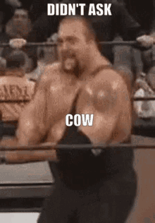 Bigshow Cow GIF - Bigshow Cow Didnt Ask GIFs