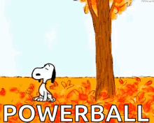 snoopy is sitting under a tree in a field of leaves with the word powerball written below him .