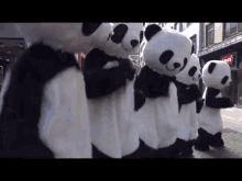 Panda Mafia GIF - Pandas Panda Mafia Dance GIFs