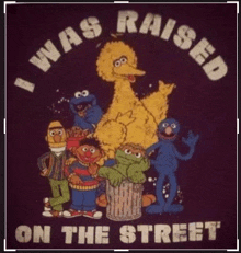 Sesame Street Raised Raised In Television GIF - Sesame Street Raised Raised In Television Big Bird GIFs