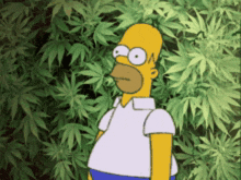 Homer Simpsons GIF
