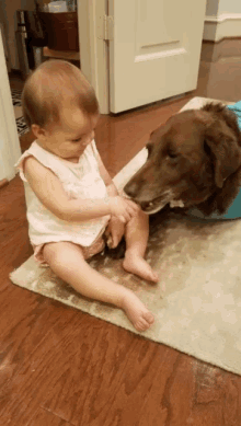 Baby Sharing GIF - Baby Sharing Dogs GIFs