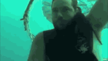 Bubbles Underwater GIF - Bubbles Underwater Underwater Bear GIFs