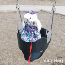 riding the swing cockatoo viralhog swinging at the playground sitting on a swing
