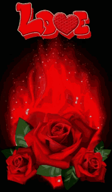 love you rose red