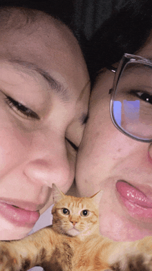a woman with glasses is kissing another woman 's forehead with a cat in the foreground