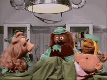 Muppet Muppet Show GIF - Muppet Muppet Show Vetrenarians Hospital GIFs