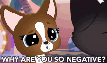 Why Are You So Negative Roxie Mcterrier GIF - Why Are You So Negative Negative Roxie Mcterrier GIFs