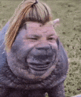 a rhinoceros with a woman 's face painted on it is making a funny face .
