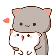 hug cat