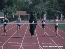 Track And Field Running GIF - Track And Field Running Finish Line GIFs
