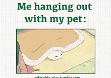 Go Kitty Go!! GIF - Me Hanging Out Pet Cat GIFs