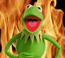 Yanan Muppet GIF - Yanan Muppet Flame GIFs