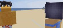 a man and a woman are standing next to each other on a beach in minecraft .