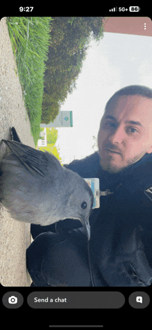 Bird Selfie Birdman GIF - Bird Selfie Birdman Bird And Guy GIFs
