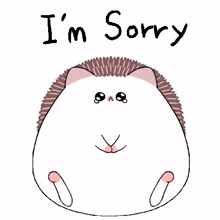sorry me