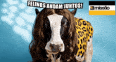 a cow wearing a wig and a leopard print scarf with the words felinos andam juntos written above it