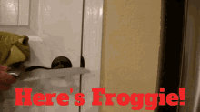 Sml Froger GIF - Sml Froger Heres Froggie GIFs