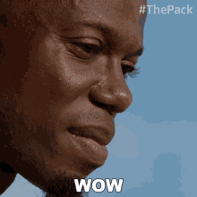 Wow The Pack GIF - Wow The Pack Disappointed GIFs