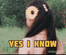 Yes I Know Rose Anne GIF