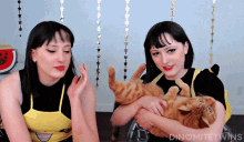 T_lexii Cats GIF - T_lexii Cats Dinomitetwins GIFs