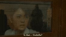 Godzilla Minus One Toho GIF - Godzilla Minus One Toho Japanese Kaiju GIFs
