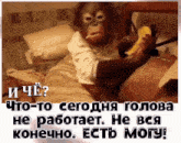 a monkey is laying on a bed holding a banana and talking on a phone