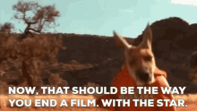 Kangaroo Jack Now That Should Be The Way You End A Film GIF - Kangaroo Jack Now That Should Be The Way You End A Film With The Star GIFs