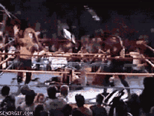 a crowd of people watching a boxing match with the website senorgif.com visible