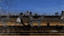 Gathering Lost Treasures Of Egypt GIF - Gathering Lost Treasures Of Egypt People GIFs