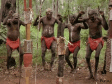 танец аборигенов GIF - танец аборигенов GIFs