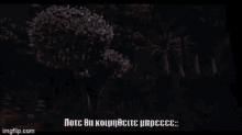 a lion , zebra , giraffe , and hippo are standing in a dark forest .